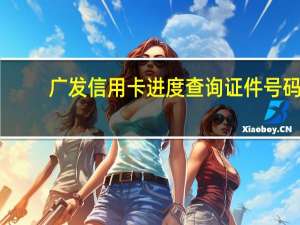 广发信用卡进度查询证件号码（广发信用卡进度怎么查）