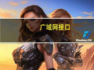 广域网接口（广域网接口）