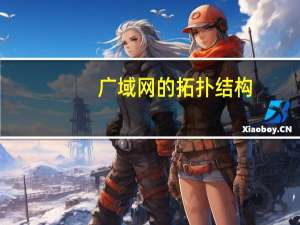 广域网的拓扑结构（广域网）