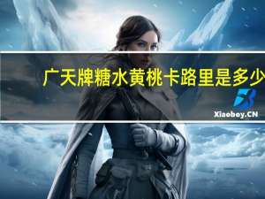 广天牌 糖水黄桃卡路里是多少