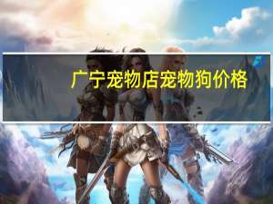 广宁宠物店宠物狗价格