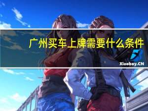广州买车上牌需要什么条件