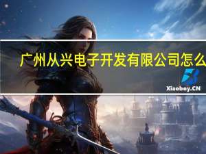 广州从兴电子开发有限公司怎么样（广州从兴电子开发有限公司）