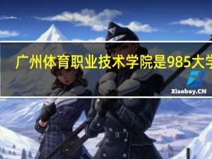 广州体育职业技术学院是985大学吗
