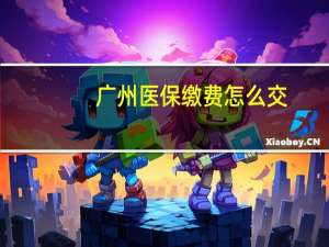 广州医保缴费怎么交