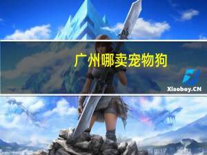 广州哪卖宠物狗