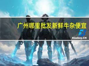 广州哪里批发新鲜牛杂便宜