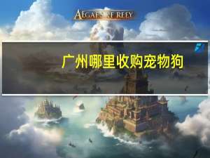 广州哪里收购宠物狗