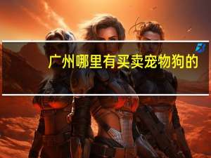 广州哪里有买卖宠物狗的