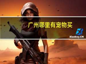广州哪里有宠物买