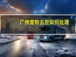广州宠物去世如何处理