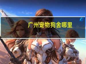 广州宠物狗舍哪里