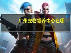 广州宠物领养中心在哪