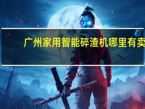 广州家用智能碎渣机哪里有卖
