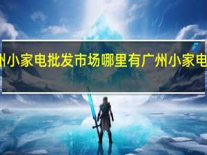 广州小家电批发市场哪里有 广州小家电批发市场