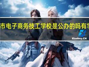 广州市电子商务技工学校是公办的吗有学校代码吗