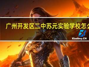 广州开发区二中苏元实验学校怎么样