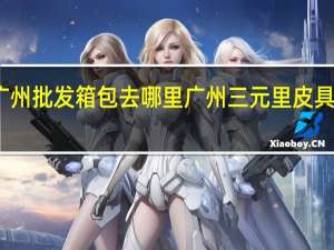 广州批发箱包去哪里 广州三元里皮具批发城