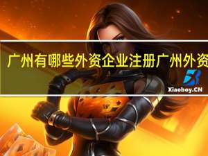 广州有哪些外资企业 注册广州外资公司