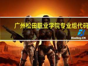 广州松田职业学院专业组代码