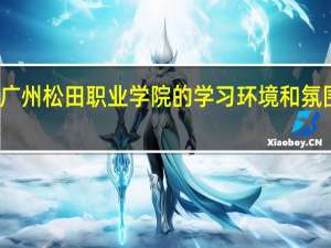 广州松田职业学院的学习环境和氛围如何