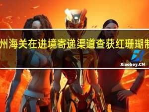 广州海关在进境寄递渠道查获红珊瑚制品98件