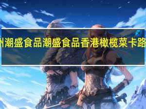 广州潮盛食品 潮盛食品 香港橄榄菜卡路里是多少
