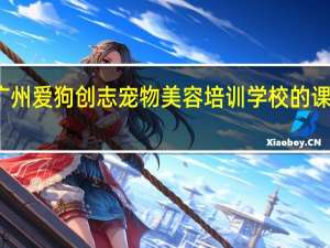 广州爱狗创志宠物美容培训学校的课程介绍