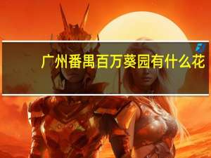 广州番禺百万葵园有什么花