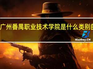 广州番禺职业技术学院是什么类别的学校