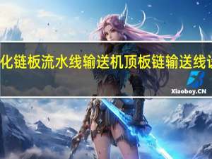 广州番禺自动化链板流水线输送机顶板链输送线设备生产厂家有哪些
