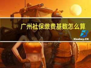 广州社保缴费基数怎么算