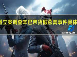 广州立案调查辛巴带货假燕窝事件 具体是怎样的
