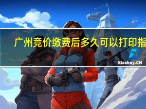 广州竞价缴费后多久可以打印指标（广州竞价外包）