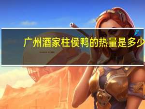 广州酒家 柱侯鸭的热量是多少