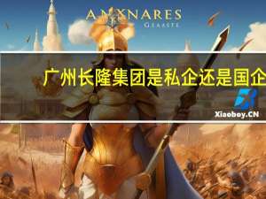 广州长隆集团是私企还是国企