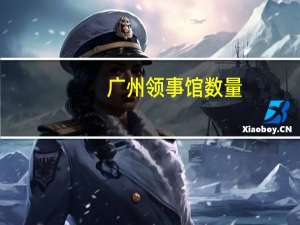 广州领事馆数量