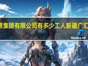 广汇能源集团有限公司有多少工人 新疆广汇集团有限公司