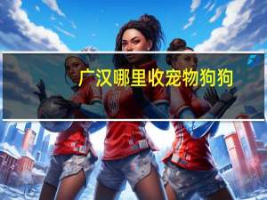 广汉哪里收宠物狗狗