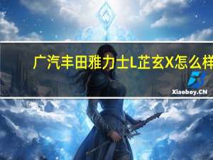 广汽丰田雅力士L芷玄X怎么样？广汽丰田芷玄X怎么样？