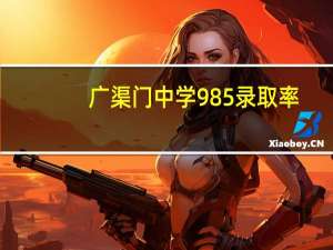 广渠门中学985录取率