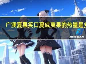 广澳夏果 笑口夏威夷果的热量是多少