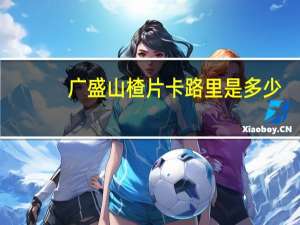 广盛 山楂片卡路里是多少