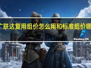 广联达复用组价怎么用和标准组价哪个好用