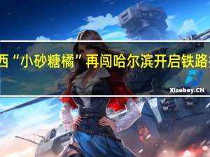 广西“小砂糖橘”再闯哈尔滨 开启铁路探秘之旅