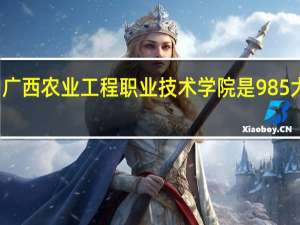 广西农业工程职业技术学院是985大学吗