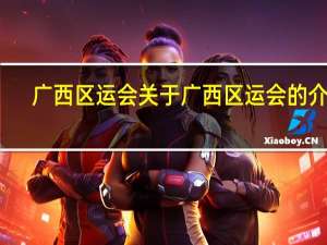 广西区运会 关于广西区运会的介绍