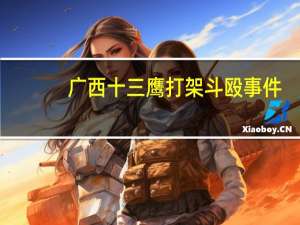 广西十三鹰打架斗殴事件（广西十三鹰）