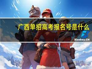 广西单招高考报名号是什么