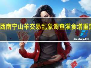 广西南宁山羊交易乱象调查 灌食增重黑幕曝光